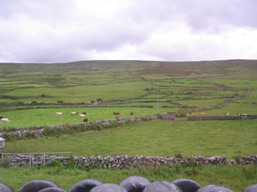 irelande06.jpg